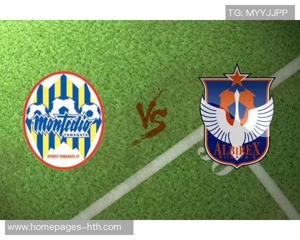 千叶队与新泻队对决前瞻分析及赛季表现预测